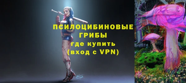 хмурый Алексин