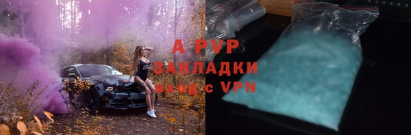 хмурый Алексин