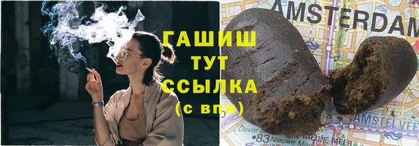 хмурый Алексин