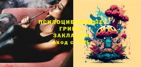 хмурый Алексин