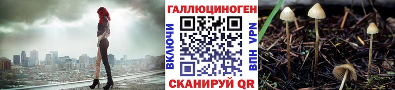 Псилоцибиновые грибы прущие грибы  Йошкар-Ола 