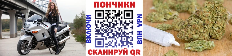 МЕГА ссылки  Йошкар-Ола  Шишки марихуана Ganja 